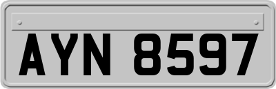 AYN8597