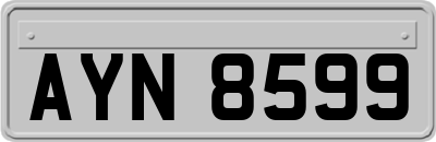 AYN8599