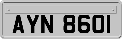 AYN8601