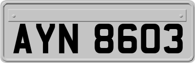 AYN8603