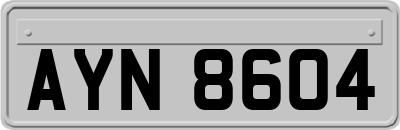 AYN8604