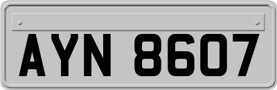AYN8607