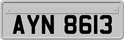 AYN8613