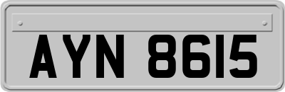 AYN8615