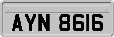 AYN8616