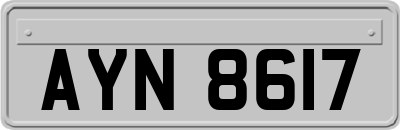AYN8617