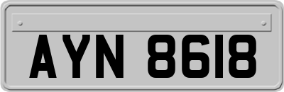 AYN8618