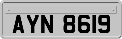 AYN8619