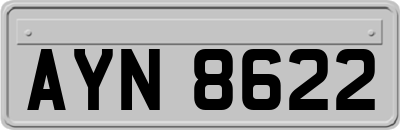 AYN8622