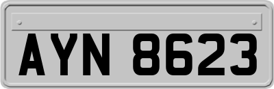 AYN8623
