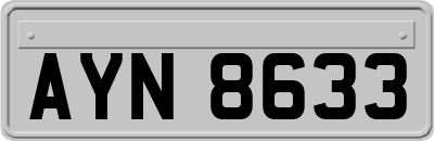 AYN8633