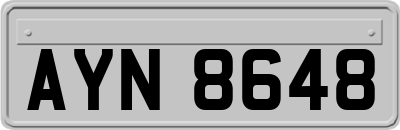AYN8648