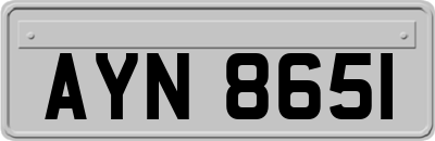 AYN8651