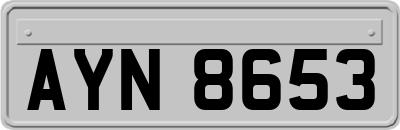 AYN8653