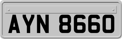 AYN8660