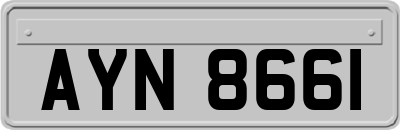 AYN8661