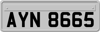 AYN8665