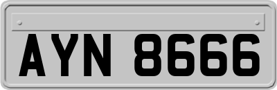 AYN8666