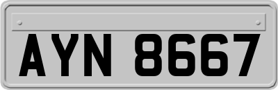 AYN8667