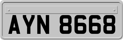 AYN8668