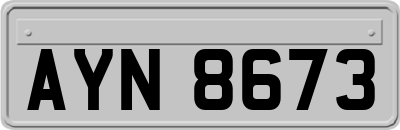 AYN8673