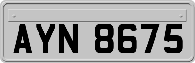 AYN8675