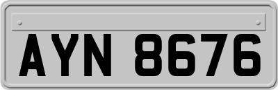 AYN8676