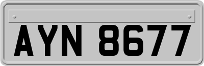 AYN8677