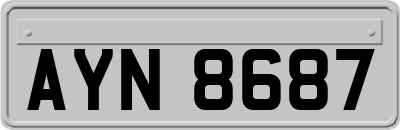 AYN8687
