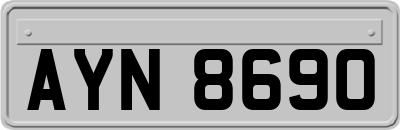 AYN8690