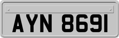 AYN8691