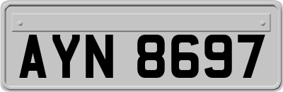 AYN8697