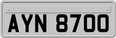 AYN8700