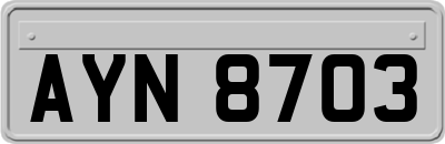 AYN8703