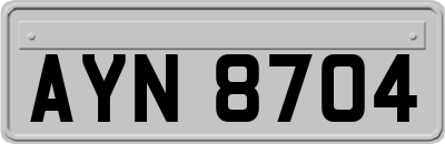 AYN8704