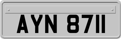 AYN8711