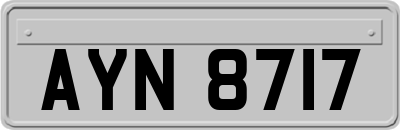 AYN8717