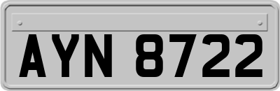 AYN8722