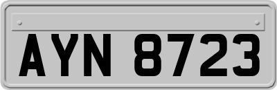 AYN8723