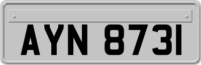 AYN8731