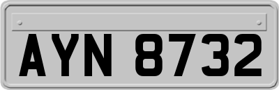 AYN8732
