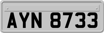 AYN8733