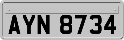 AYN8734