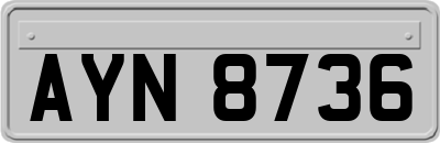 AYN8736