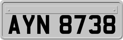 AYN8738