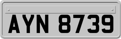AYN8739