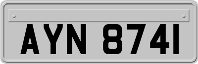 AYN8741