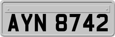 AYN8742