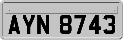 AYN8743