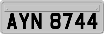 AYN8744